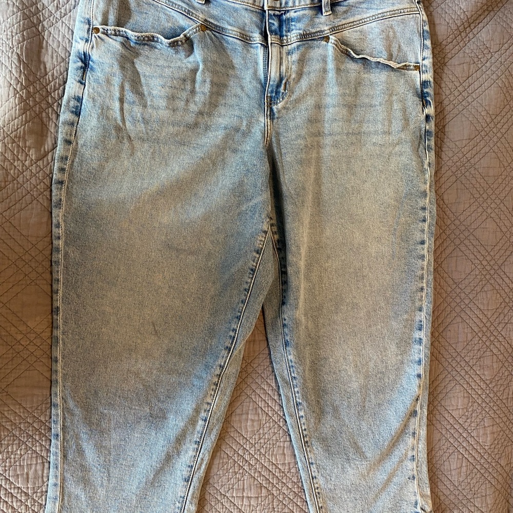 Lane Bryant jeans. Size 16.